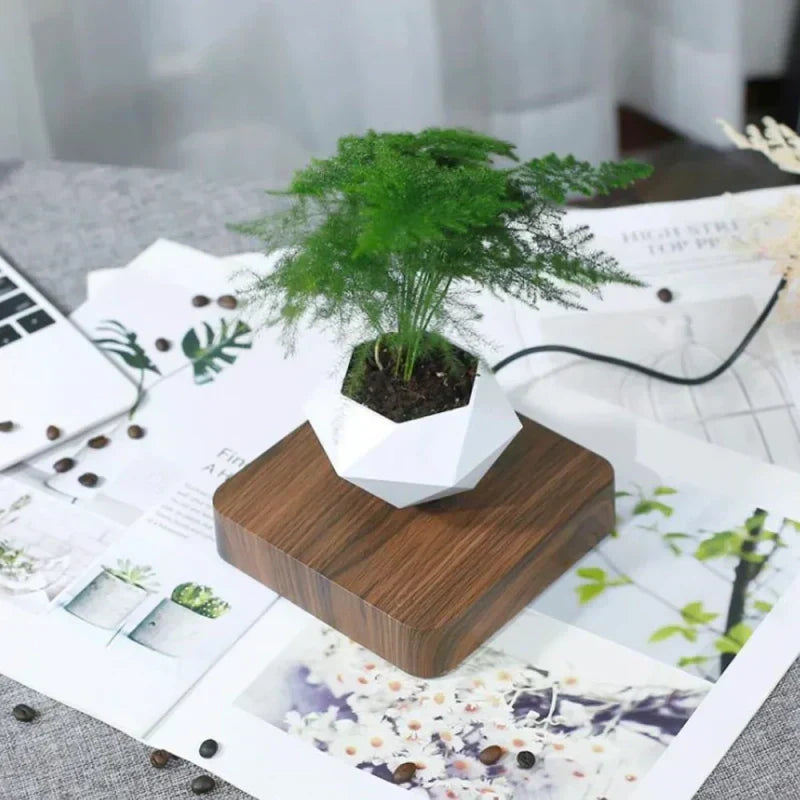 https://cdn.shopify.com/s/files/1/1010/7787/7078/files/0bbb8e08-74f9-4056-89eb-837c7dc7b0fa.webp?v=1773335234