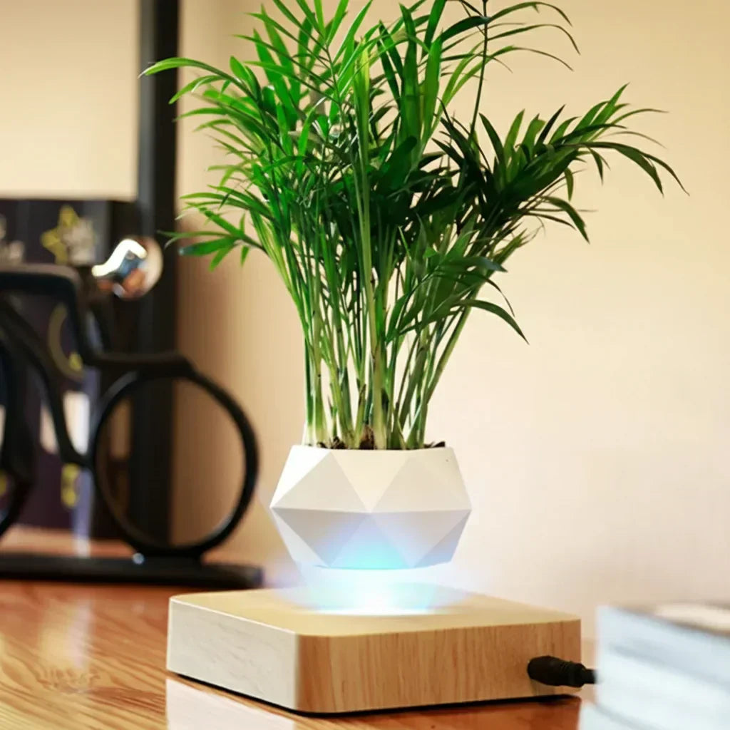 https://cdn.shopify.com/s/files/1/1010/7787/7078/files/2eabf651-39d2-4db9-a7f3-e588617b4b94_c556d5e7-bf58-435c-8d2f-4d6c636d6393.webp?v=1773335234