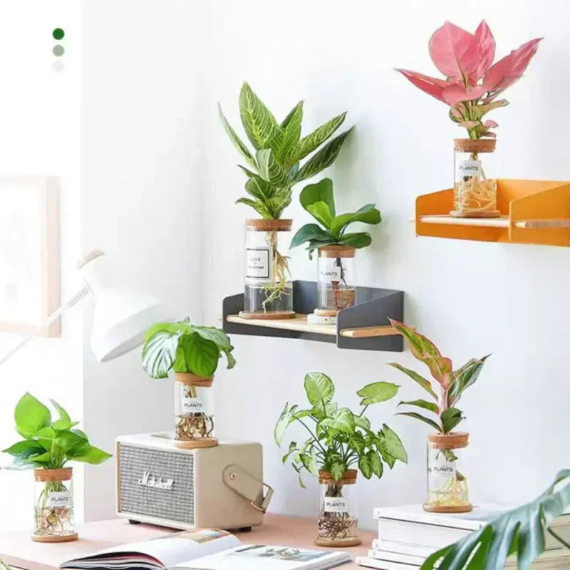 https://cdn.shopify.com/s/files/1/1010/7787/7078/files/461cf1a8-e61d-42a5-a27f-7b3ee411948b.webp?v=1773335234