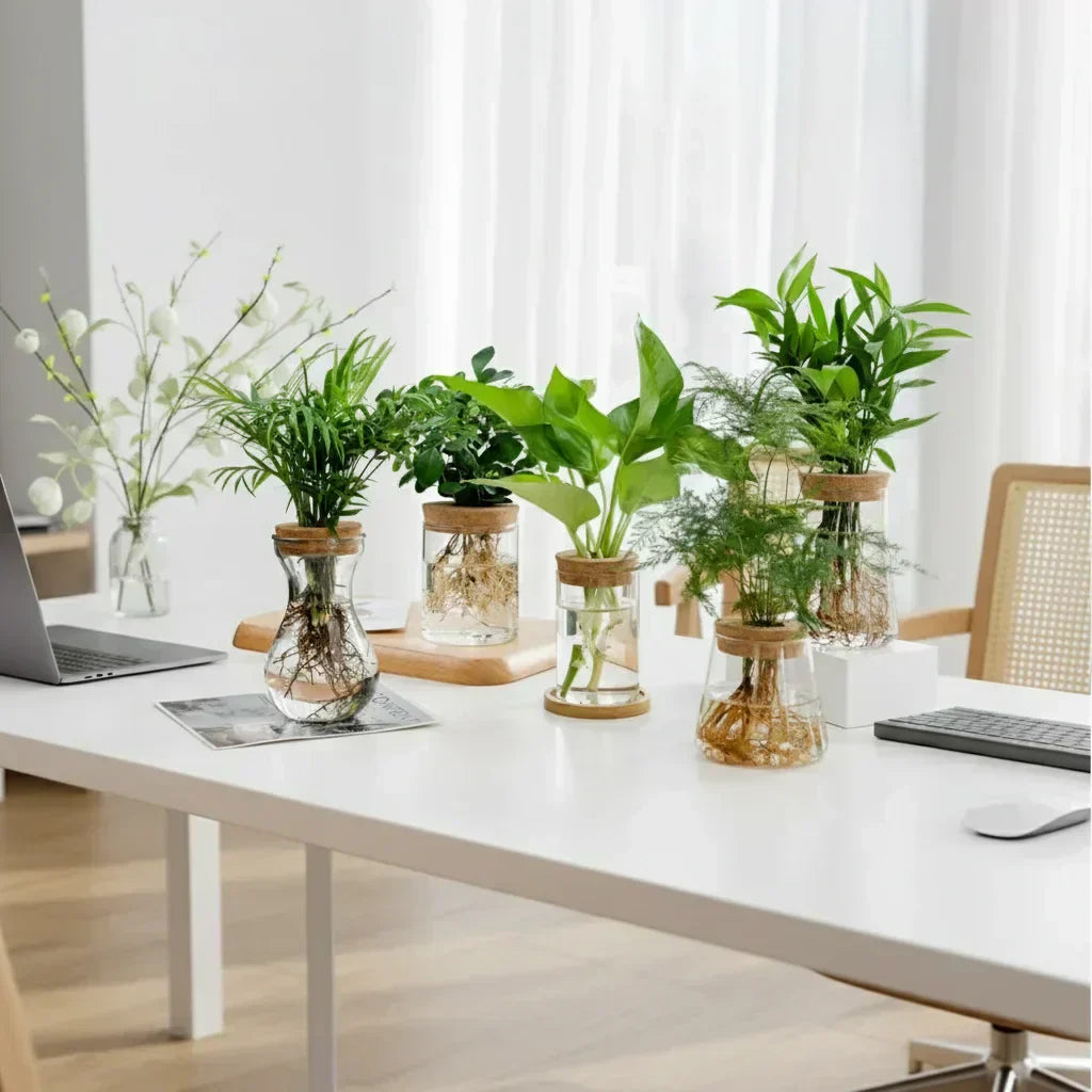https://cdn.shopify.com/s/files/1/1010/7787/7078/files/47c0d580-c38c-4949-8942-b27efe9063d4_14df98ae-4c94-4aba-9e5a-24dc9d2eaf44.webp?v=1773335234