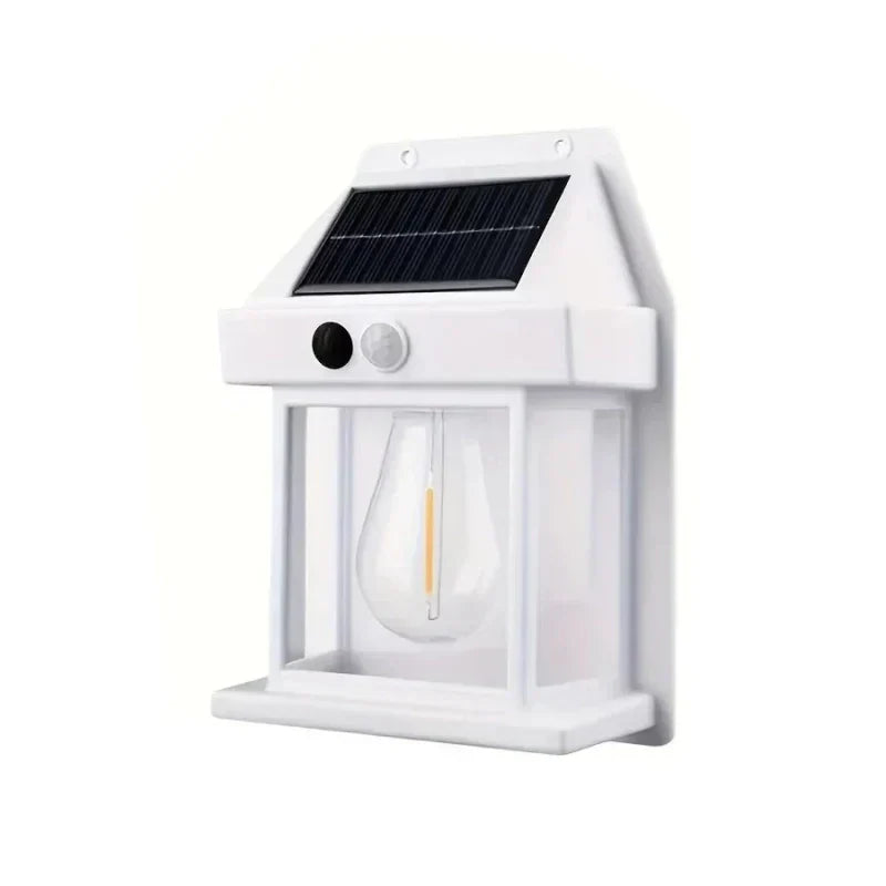 https://cdn.shopify.com/s/files/1/1010/7787/7078/files/a52cdd9a-3e37-4298-8cd7-bc75fc314623.webp?v=1773335232