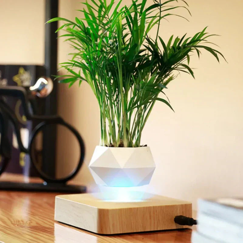 https://cdn.shopify.com/s/files/1/1010/7787/7078/files/c6892ac2-5882-40ec-ac98-e320fcc21f5b.webp?v=1773335234