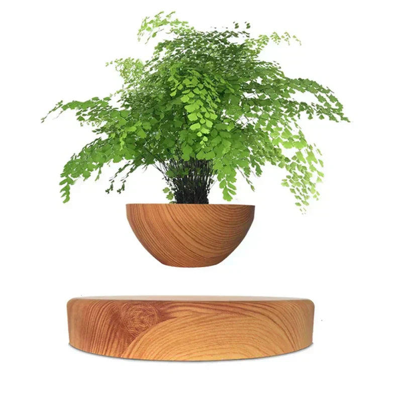 https://cdn.shopify.com/s/files/1/1010/7787/7078/files/d83fe5ac-82f3-463e-b4a8-a206e5458b2c.webp?v=1773335234