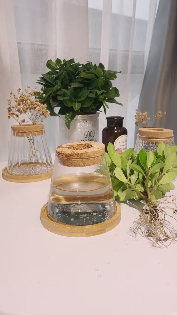 Pot de Fleurs Hydroponique | Culture Sans Terre & Design Nature