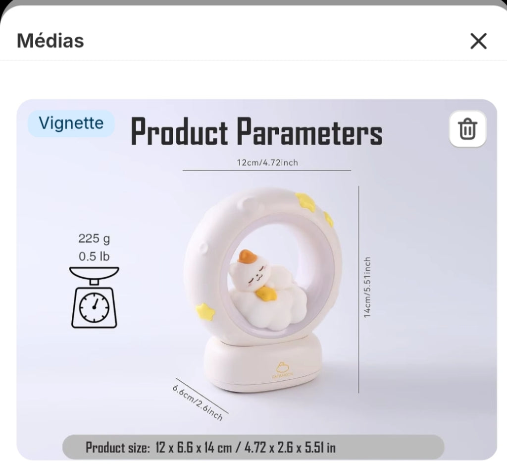 Veilleuse LED lapin et chat - modèles disponibles